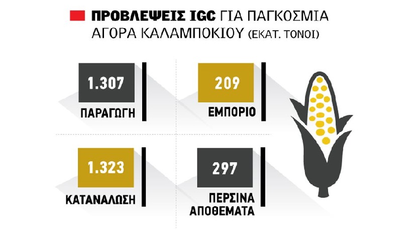 Ήπια ανοδική τάση στις τιμές στο καλαμπόκι, φτάνουν τα 25 λεπτά