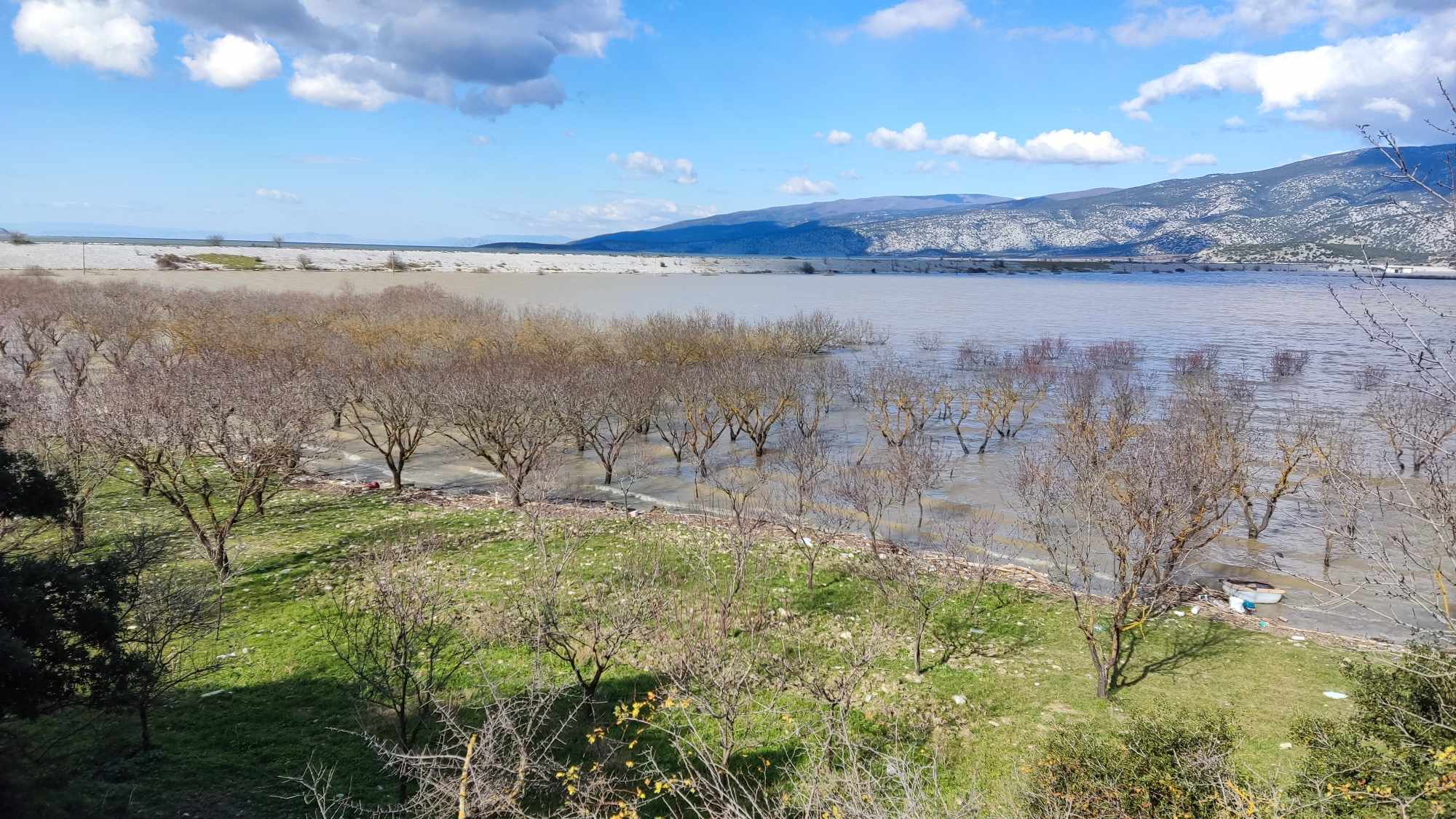 Σε απόγνωση αγρότες και κτηνοτρόφοι στα Κανάλια Μαγνησίας- Τα νερα της Κάρλας έχουν καλύψει τα πάντα (ΦΩΤΟ)