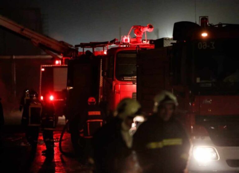 Εφιαλτική νύχτα… Καταστράφηκε ολοσχερώς από μεγάλη φωτιά επιχείρηση ξυλείας στα Τρίκαλα