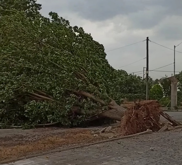 Βομβαρδισμένη πόλη η Λάρισα από το μπουρίνι: Φωτιά στην Καρδίτσης από κεραυνό, σπάσιμο δέντρων και ξήλωμα στεγών (ΦΩΤΟ)