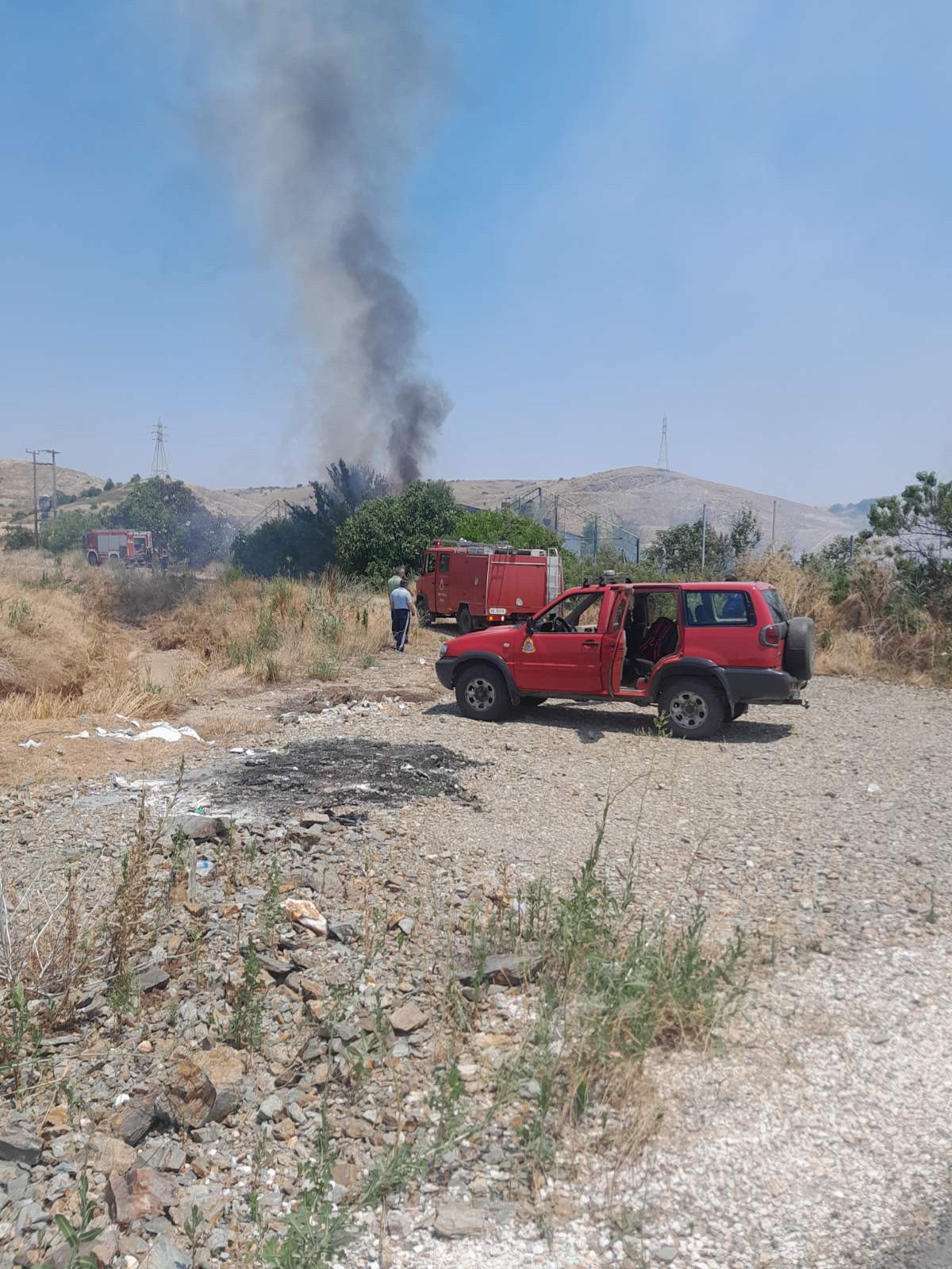 Φωτιά στην Συκεώνα, επενέβη η Πυροσβεστική και ο Δήμος Παλαμά