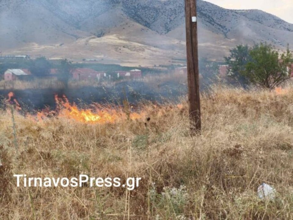 Φωτιά κοντά σε σπίτια στον Τύρναβο -Η Πυροσβεστική την έθεσε άμεσε υπό έλεγχο [βίντεο]