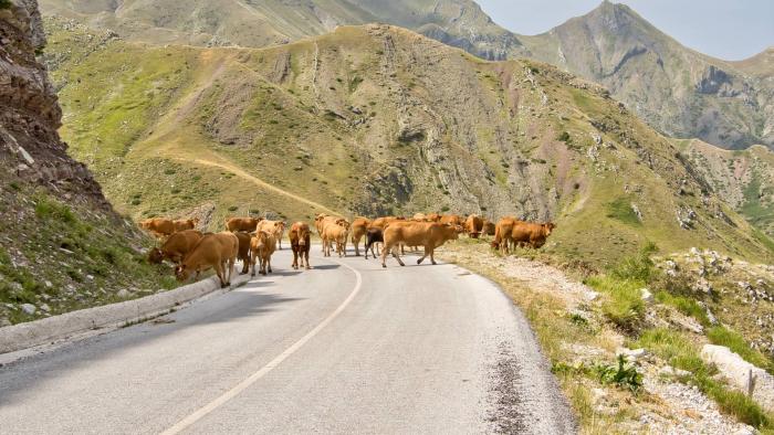 Ο υψηλότερος δρόμος στην Ελλάδα βρίσκεται στα 1.904 μέτρα -Συνδέει οδικώς τη Θεσσαλία με την Ήπειρο