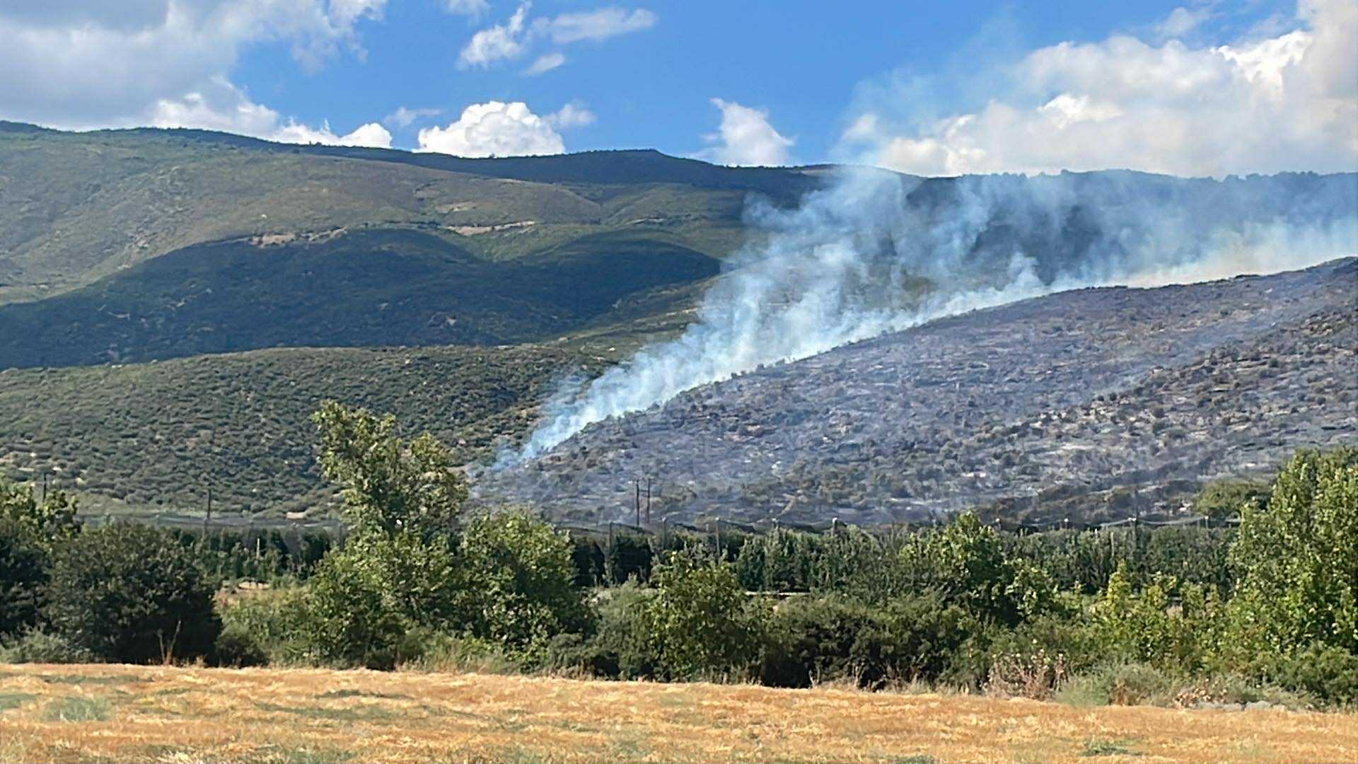 Συναγερμός το μεσημερι για μεγάλη φωτιά στην Αγιά- 6 αεροσκάφη και ισχυρές επίγειες δυναμεις στη μαχη (ΦΩΤΟ)