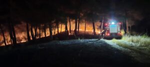 Συναγερμός για φωτιά ξέσπασε στο λόφο του ξενώνα της Μητρόπολης Καρδίτσας (φωτο)