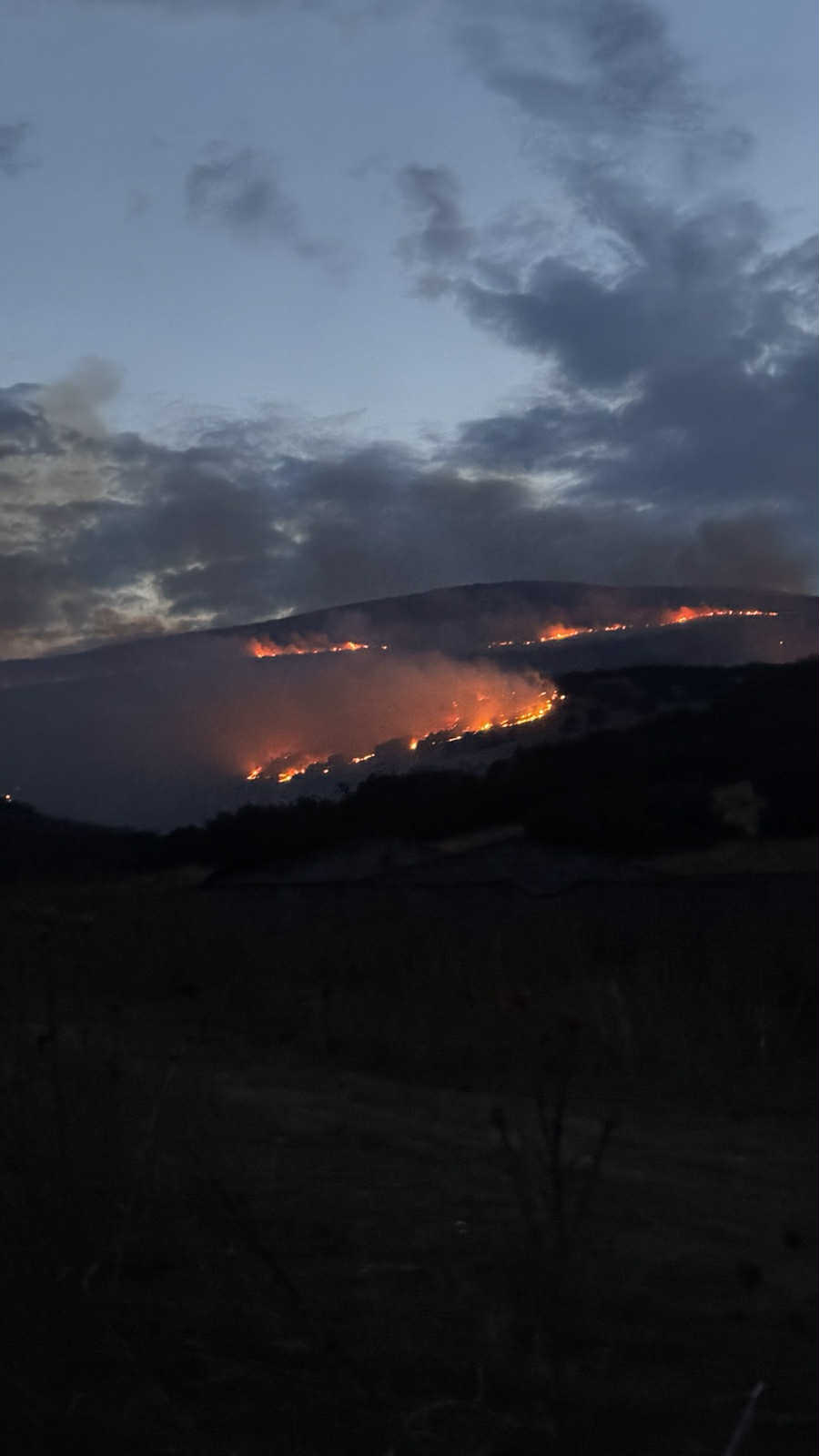 Καίει όλη νύχτα η πυρκαγιά που ξέσπασε το απόγευμα στο Δαμάσι (ΦΩΤΟ+video)