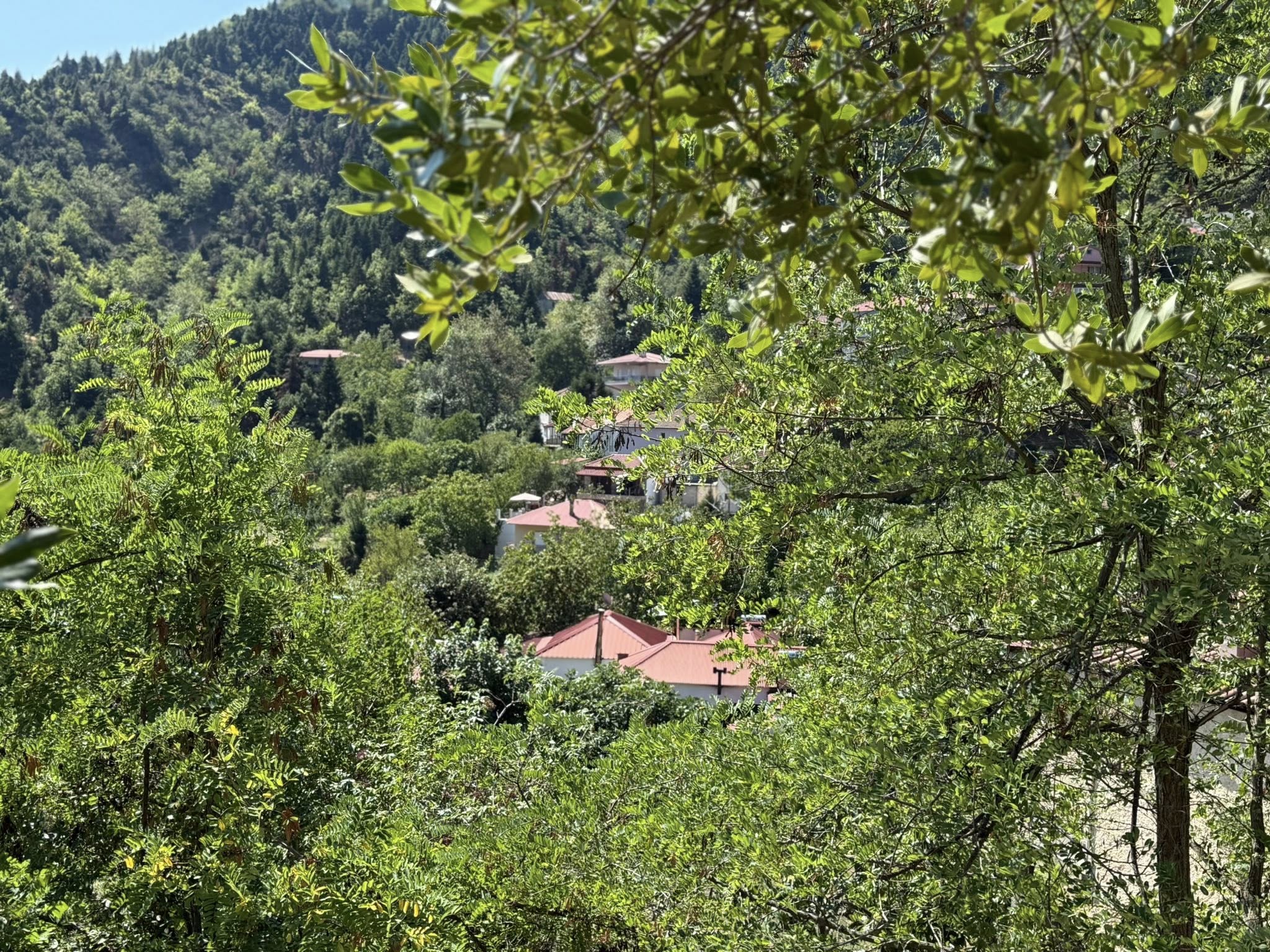 Μια ξεχωριστή gravel περιπέτεια στον Αμάραντο Καρδίτσας: Δείτε εν δράσει τον περιφερειάρχη με ποδήλατο (ΦΩΤΟ)