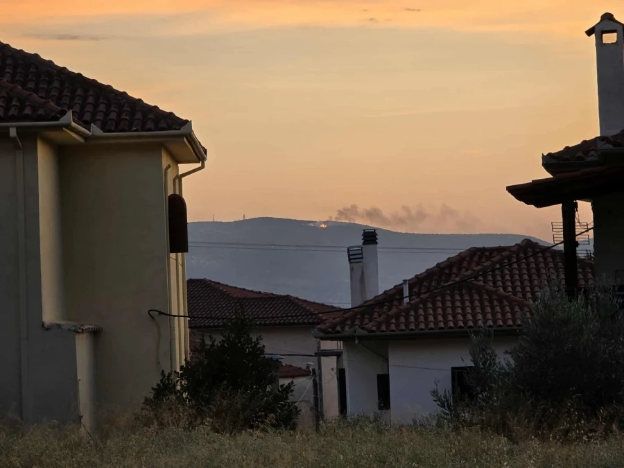 Φωτιά σε δύσβατη περιοχή έξω από τον Βόλο μεταξύ Σωρού και Σέσκλου