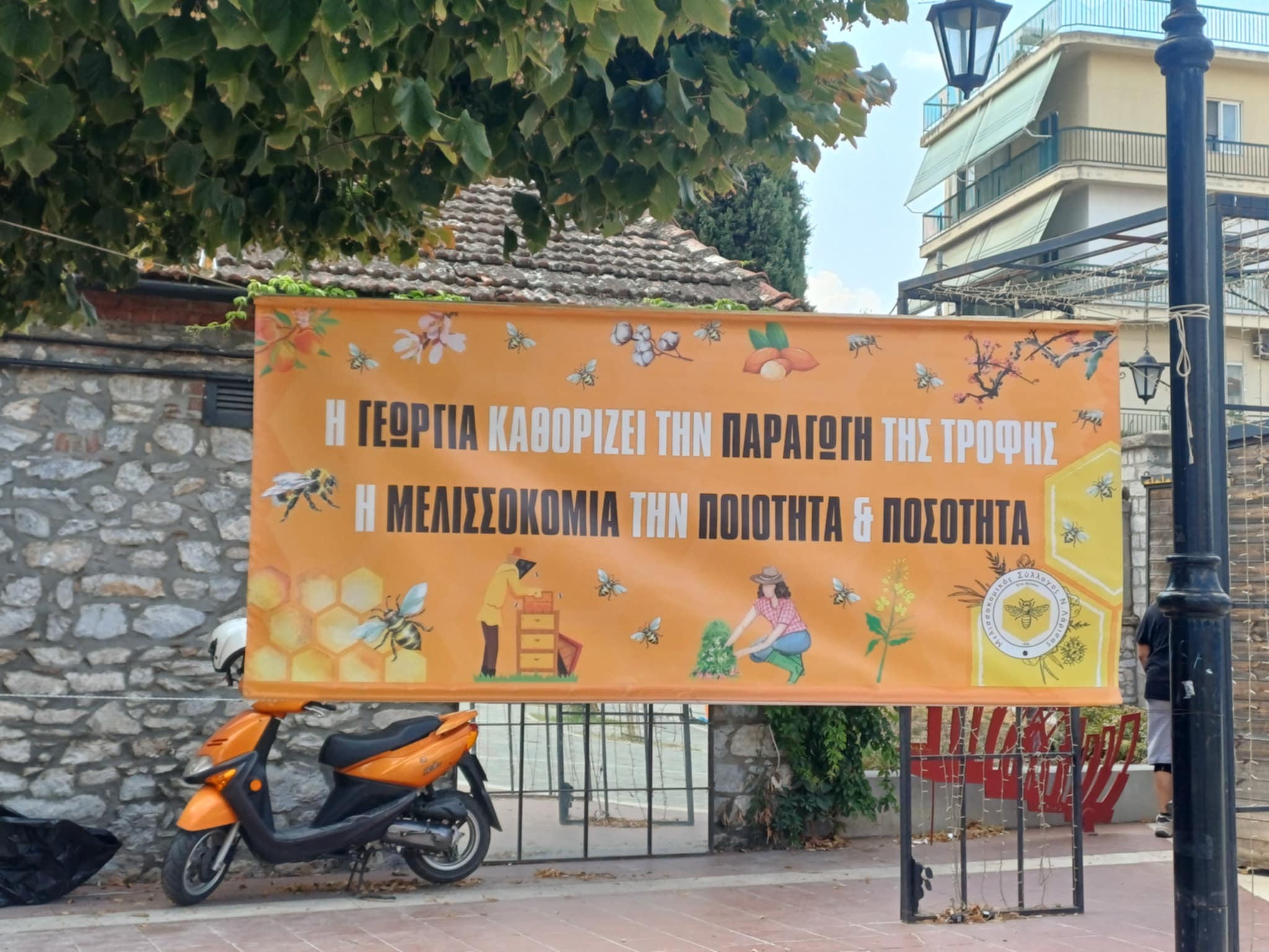 Ξεκινά σήμερα το «Bee Day Festival» στο Μύλο του Παππά (ΦΩΤΟ)