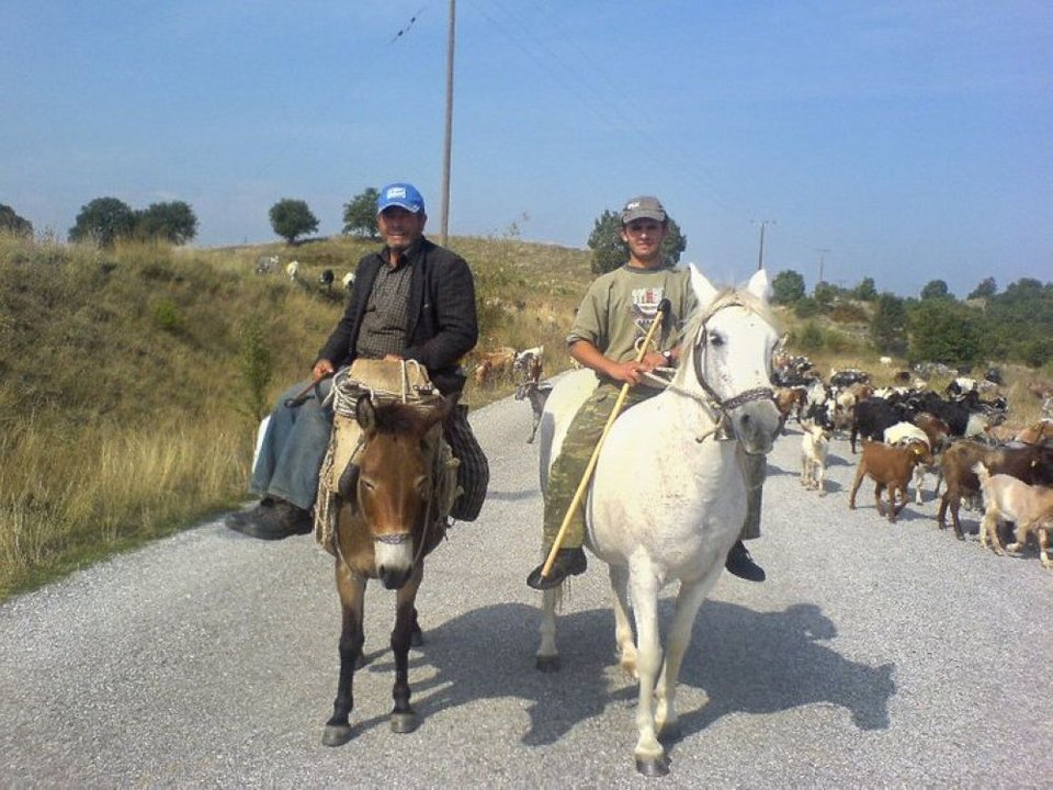 Μετακινούμενοι κτηνοτρόφοι: Διασχίζουν τη χώρα περπατώντας για ημέρες με τα κοπάδια, σε χαμαδιά και πανάρχαιες στράτες