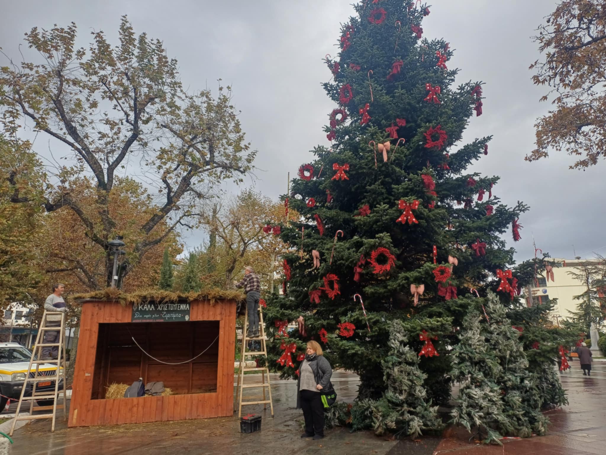 Ετοιμασίες στην κεντρική πλατεία της Λάρισας  για το άναμμα του δένδρου την Δευτέρα 1η Δεκεμβρίου (ΦΩΤΟ)