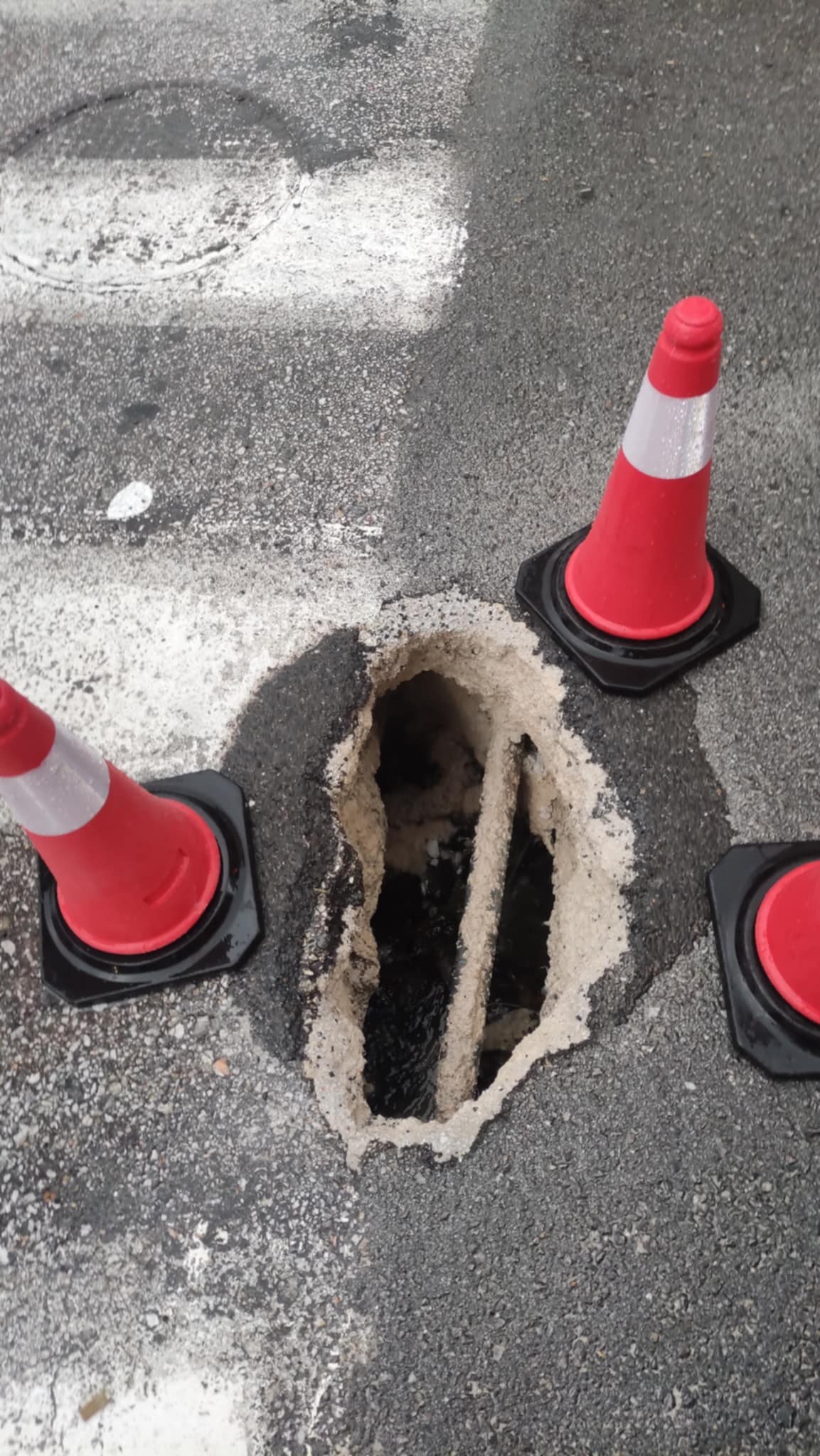 Χωρίς μεγάλα προβλήματα στην ΠΕ Λάρισας από τον Βyron: Πτώσεις δέντρων προς Γυρτώνη, Πυργετό και μικρά πλημμυρικά στη Χάλκη