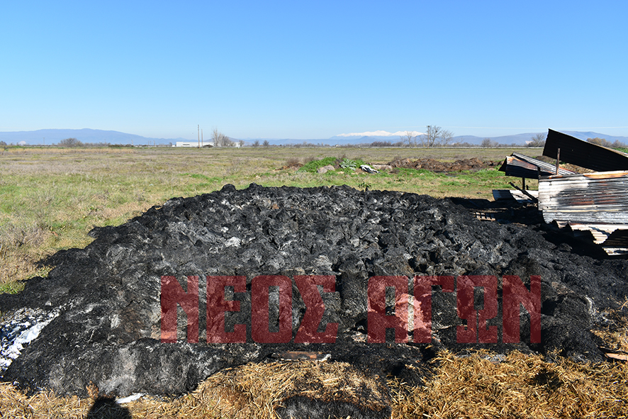 Στάχτη οι κόποι μιας ζωής για κτηνοτρόφο από τους Γοργοβίτες (ΦΩΤΟ - ΒΙΝΤΕΟ)