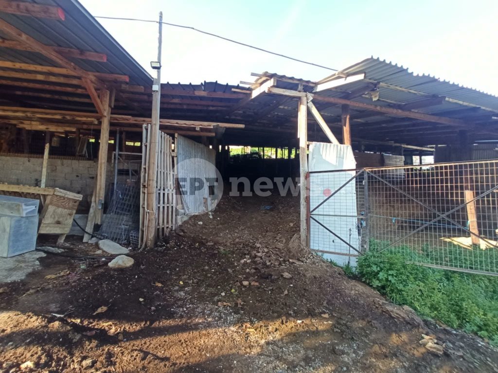 Κύκλωμα μαμούθ στον Βόλο: Στην Εισαγγελία Βόλου θα οδηγηθούν σήμερα οι «13» για τη διακίνηση ναρκωτικών