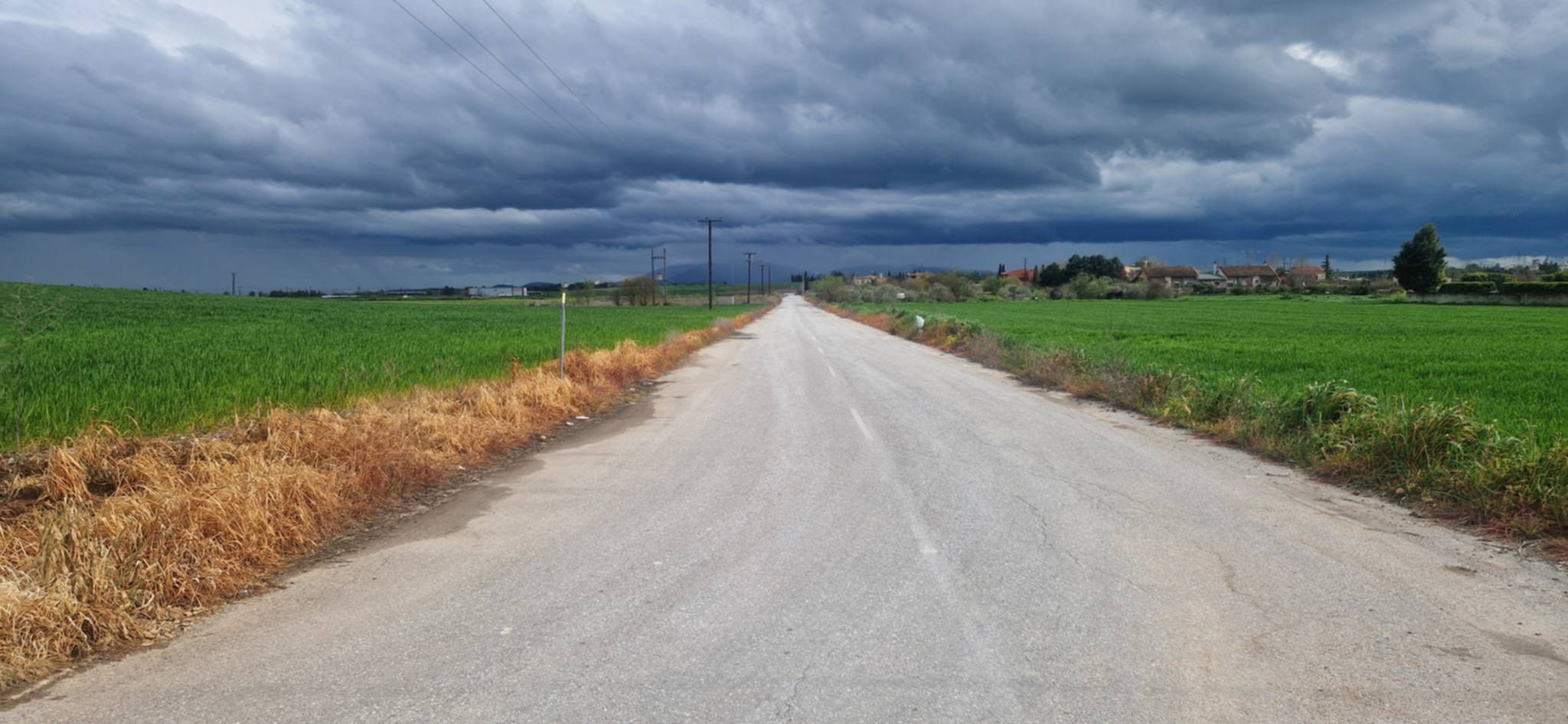 Ψεκασμός στο Δήμο Κιλελέρ για αγριόχορτα δίπλα σε σχολεία- η ανάρτηση Νίκου Ράπτη (ΦΩΤΟ)