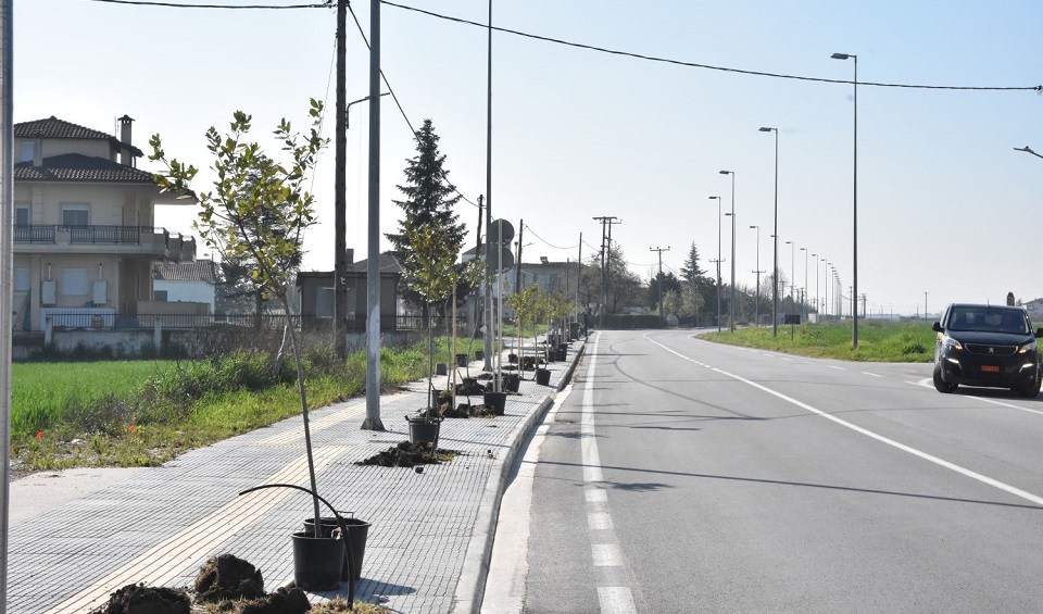 Δ. Λαρισαίων: Νέα δέντρα στη Φαλάνη - Μαμάκος: «Συνεχίζουμε τις παρεμβάσεις για ενίσχυση του πράσινου αποτυπώματος στην πόλη»