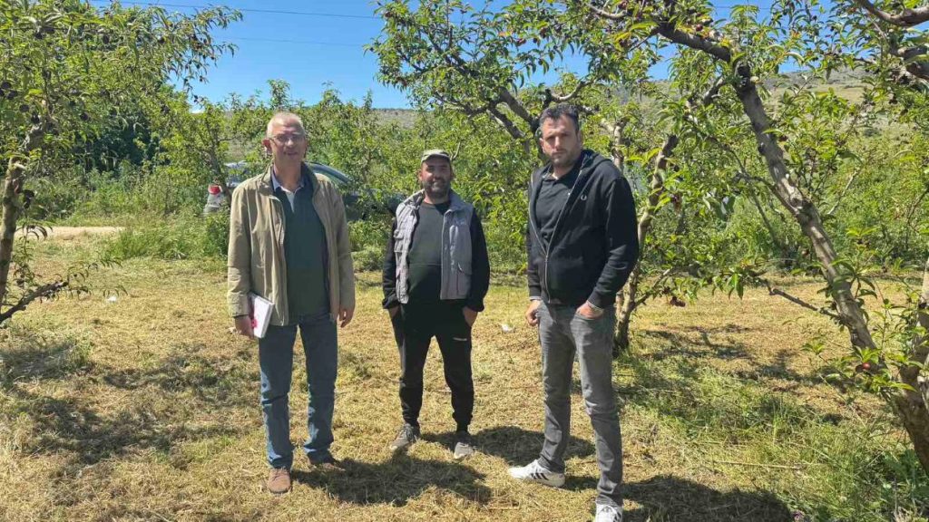 Σε απόγνωση οι αγρότες στην περιοχή Τυρνάβου από το φουζίκοκο  που ρίχνει τους καρπούς στις ροδακινιές
