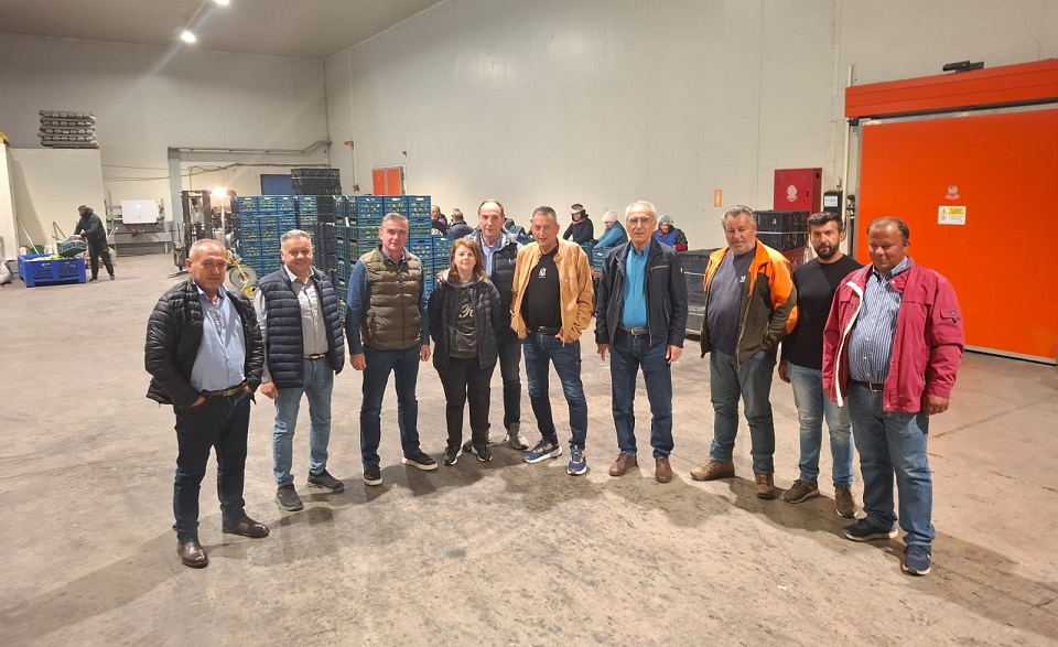 Στο πλευρό των παραγωγών της Αγιάς η Περιφέρεια Θεσσαλίας-Αντιμετώπιση της σφήκας της καστανιάς