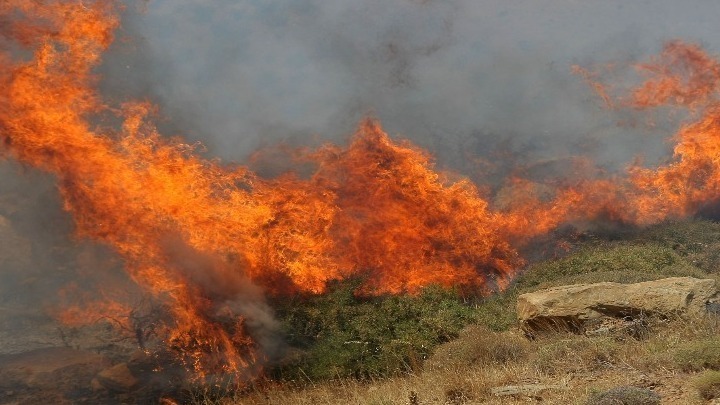 Μεγάλη κινητοποίηση επίγειων και εναέριων δυνάμεων για φωτιά σε αγροτοδασική έκταση στην Καλλιθέα Φαρσάλων