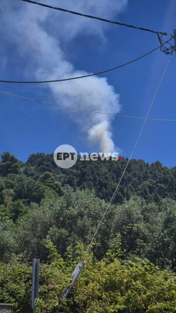 Σκόπελος: Οριοθετήθηκε η φωτιά στη θέση «Τριμπίλα» – Παραμένουν ισχυρές δυνάμεις της Πυροσβεστικής
