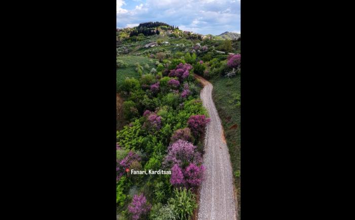 Αυτός είναι δρόμος της Καρδίτσας που μάγεψε όλο τον πλανήτη -Μοιάζει με πίνακα ζωγραφικής
