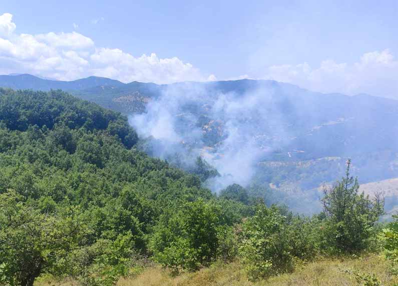 Υπό έλεγχο η φωτιά στα Κανάλια Μουζακίου στην Καρδίτσα