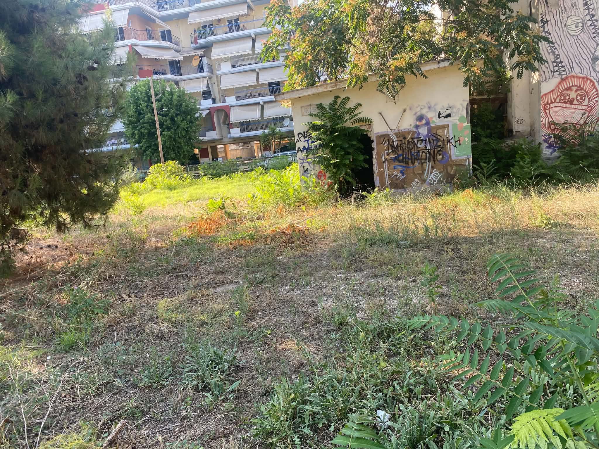 Βραδυφλεγής βόμβα για πυρκαγιά ακαθάριστη δημοτική έκταση στο κέντρο της Λάρισας (ΦΩΤΟ)