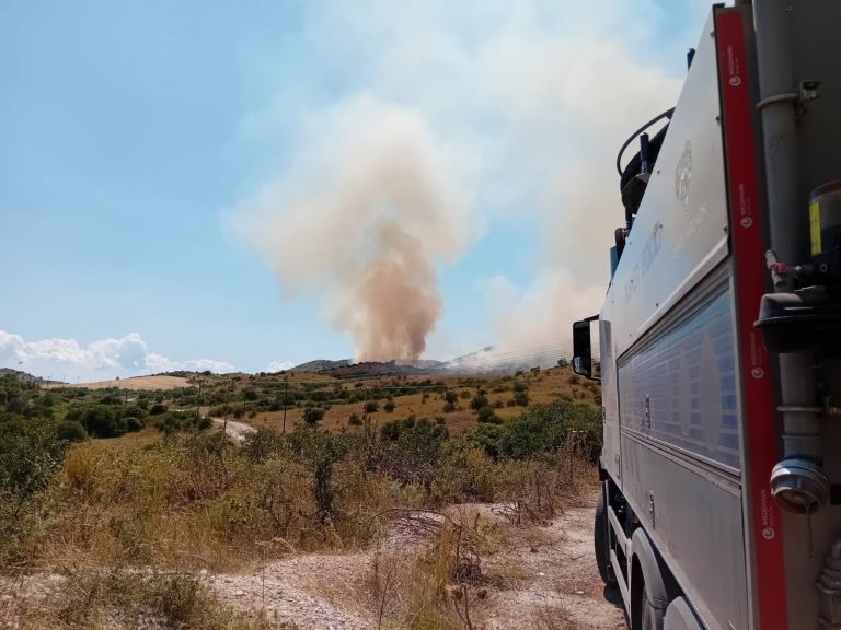 Υπό μερικό έλεγχο μετά από πολύωρη μάχη η πυρκαγιά στον Αργυρόμυλο Λάρισας (ΦΩΤΟ+video)