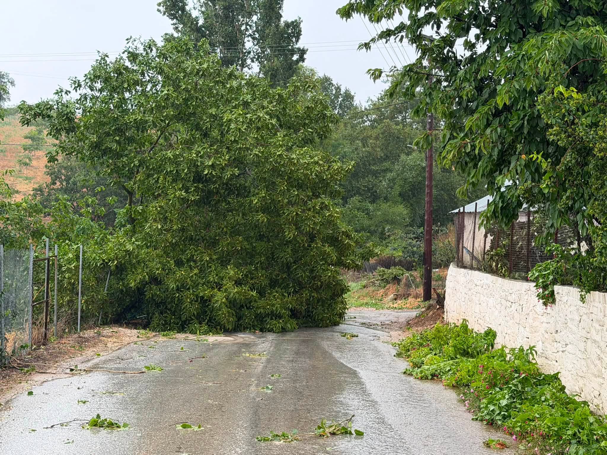 Δείτε εντυπωσιακό βίντεο από τη χθεσινή καταιγίδα στη Σκοπιά Φαρσάλων (ΦΩΤΟ+video)