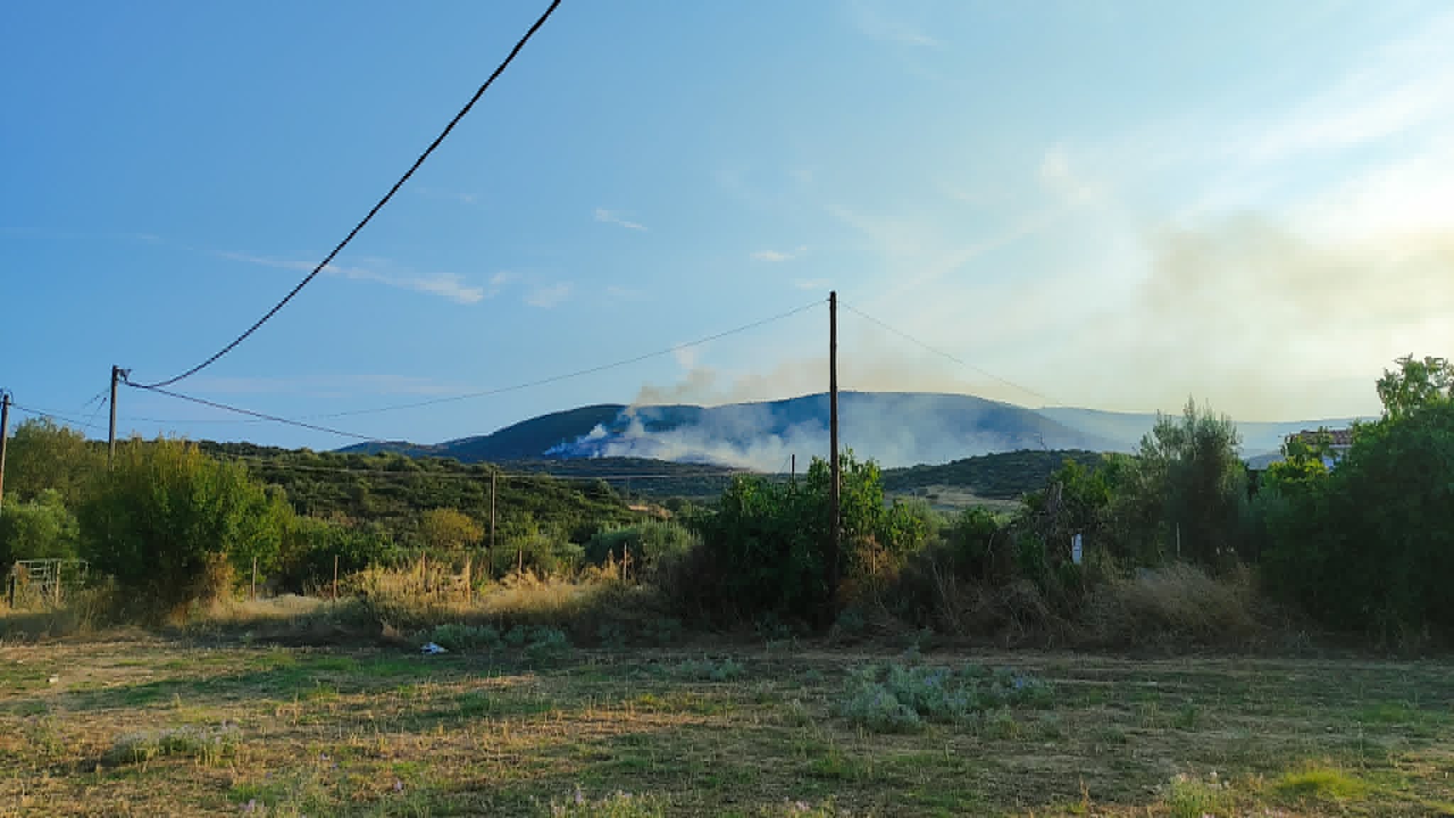Βόλος: Δύο φωτιές σε Αϊβαλιώτικα και Σωρό - Επιχειρούν 5 εναέρια, 112 για ετοιμότητα- δείτε εικόνες και βίντεο
