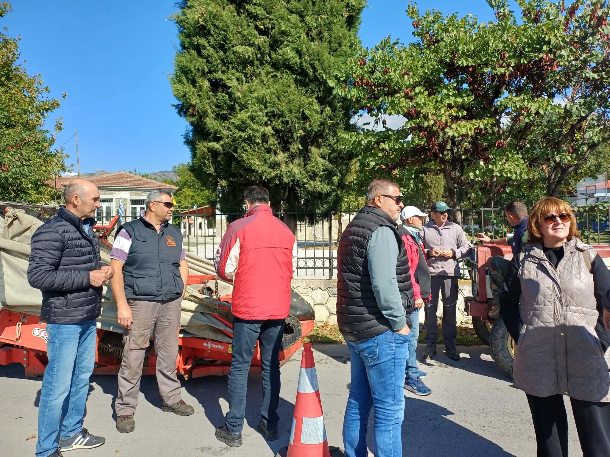 Ελαιοπαραγωγοί σε απόγνωση στο Πουρνάρι Συκουρίου: Χαμηλές τιμές, υψηλό κόστος και αποτυχία δακοκτονίας (ΦΩΤΟ+video)