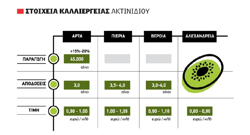 Δεν ικανοποιεί η εκκίνηση για το ακτινίδιο, μείον 15 λεπτά φέτος οι τιμές ως 1,20 ευρώ παρά τη μεγάλη ζήτηση