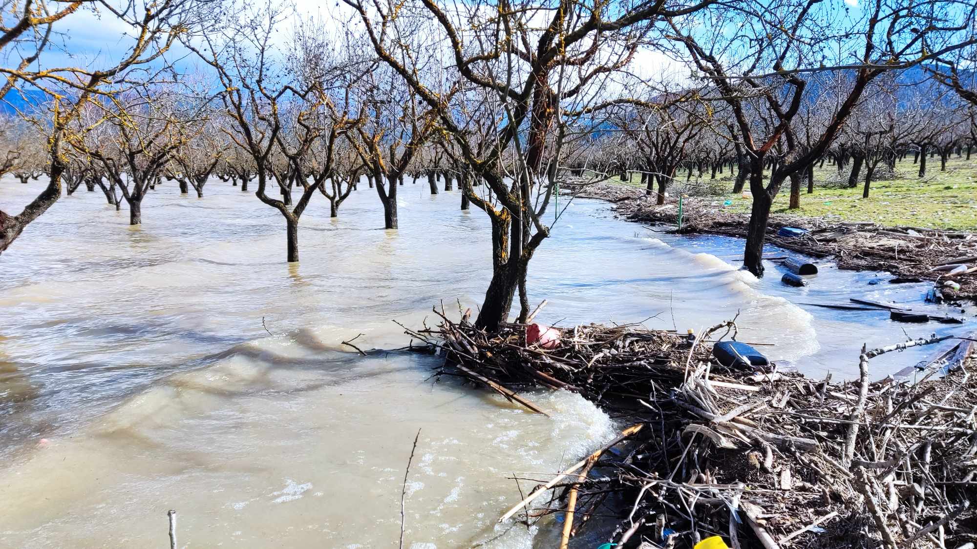 Σε απόγνωση αγρότες και κτηνοτρόφοι στα Κανάλια Μαγνησίας- Τα νερα της Κάρλας έχουν ακλύψει τα πάντα (ΦΩΤΟ)