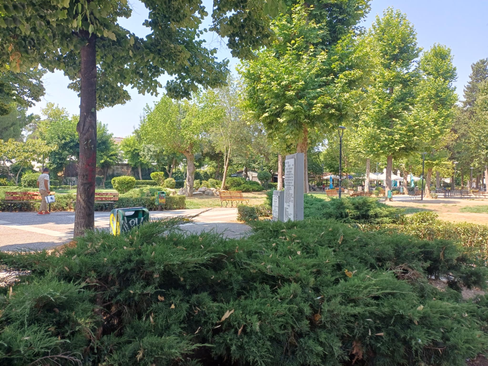 Λάρισα: Αγανάκτηση και οργή από τις μαζικές δηλητηριάσεις ζώων στον Άγιο Αντώνιο (ΦΩΤΟ-ΒΙΝΤΕΟ)