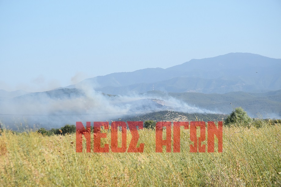 Μεγάλη φωτιά σε εξελιξη στο Καλλίθηρο Καρδίτσας-επιχειρούν 40 πθυροσβέστες και 6 αερροσκαφη (ΦΩΤΟ+video)