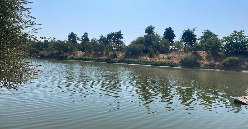 Μη αναστρέψιμη η ζημιά στα βαμβάκια  λόγω έλλειψης νερού - αποκαρδιωτικές εικόνες στον Πηνειό έξω από τη Λάρισα (ΦΩΤΟ)