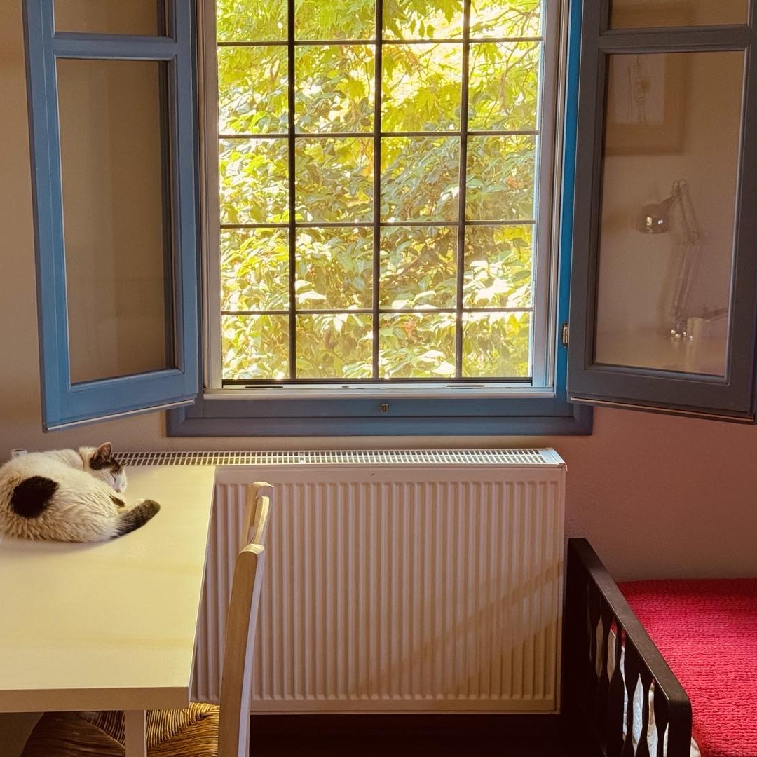 Πήλιο: Ο Νίκος Πορτοκάλογλου γράφει για το αγαπημένο του μέρος