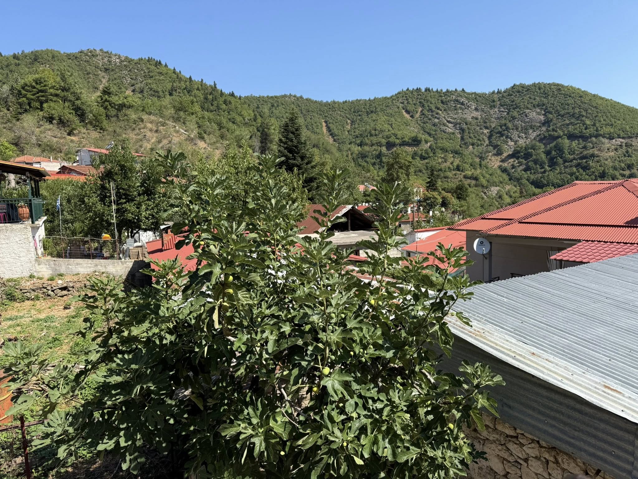 Μια ξεχωριστή gravel περιπέτεια στον Αμάραντο Καρδίτσας: Δείτε εν δράσει τον περιφερειάρχη με ποδήλατο (ΦΩΤΟ)