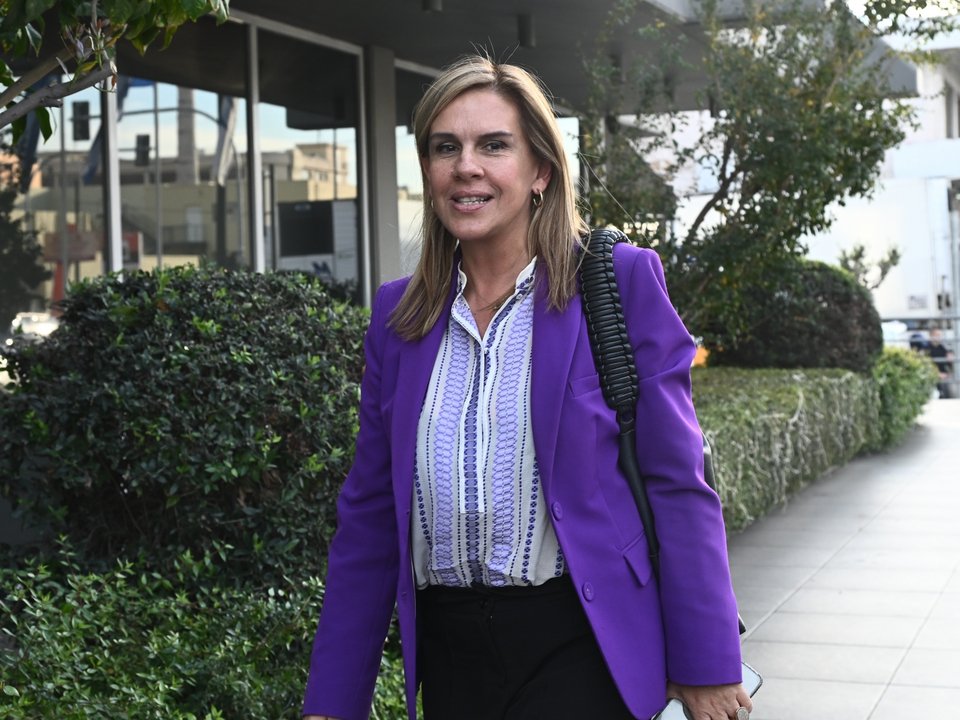 Πυρά βουλευτών ΝΔ για τους αγρότες -Τσιάρας: Χωρίς ελέγχους θα χάναμε επιδοτήσεις -Βορίδης: Δεν βλέπω στρατηγική εκτόνωσης