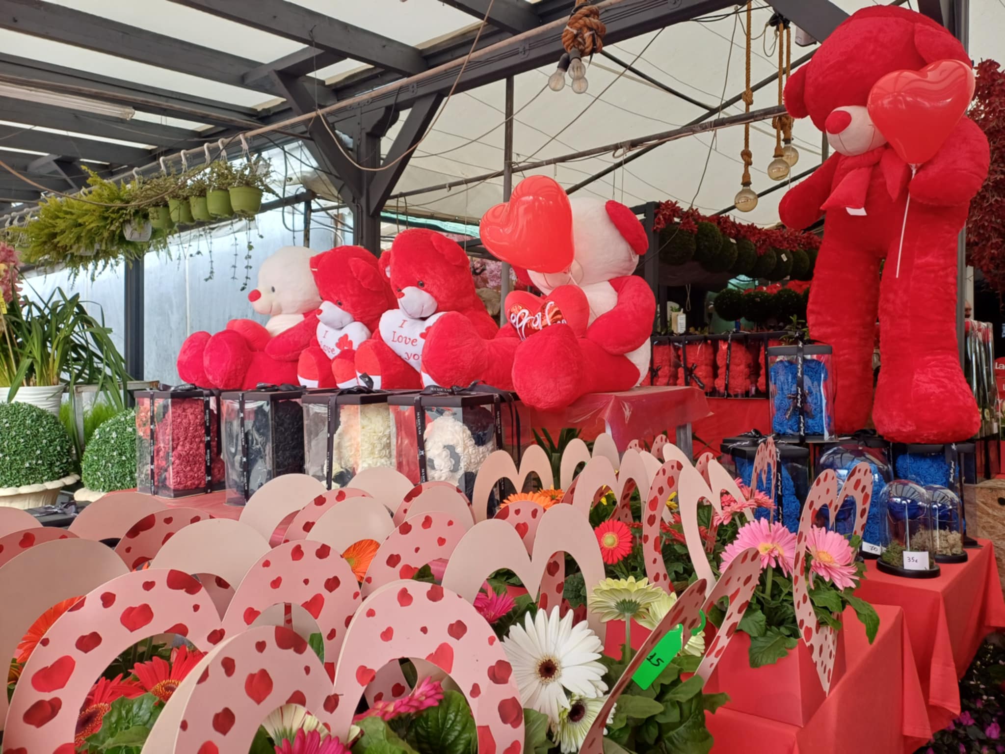 Η Λάρισα γιορτάζει τον Βαλεντίνο σε ανθοπωλεία και ζαχαροπλαστεία... (ΦΩΤΟ)