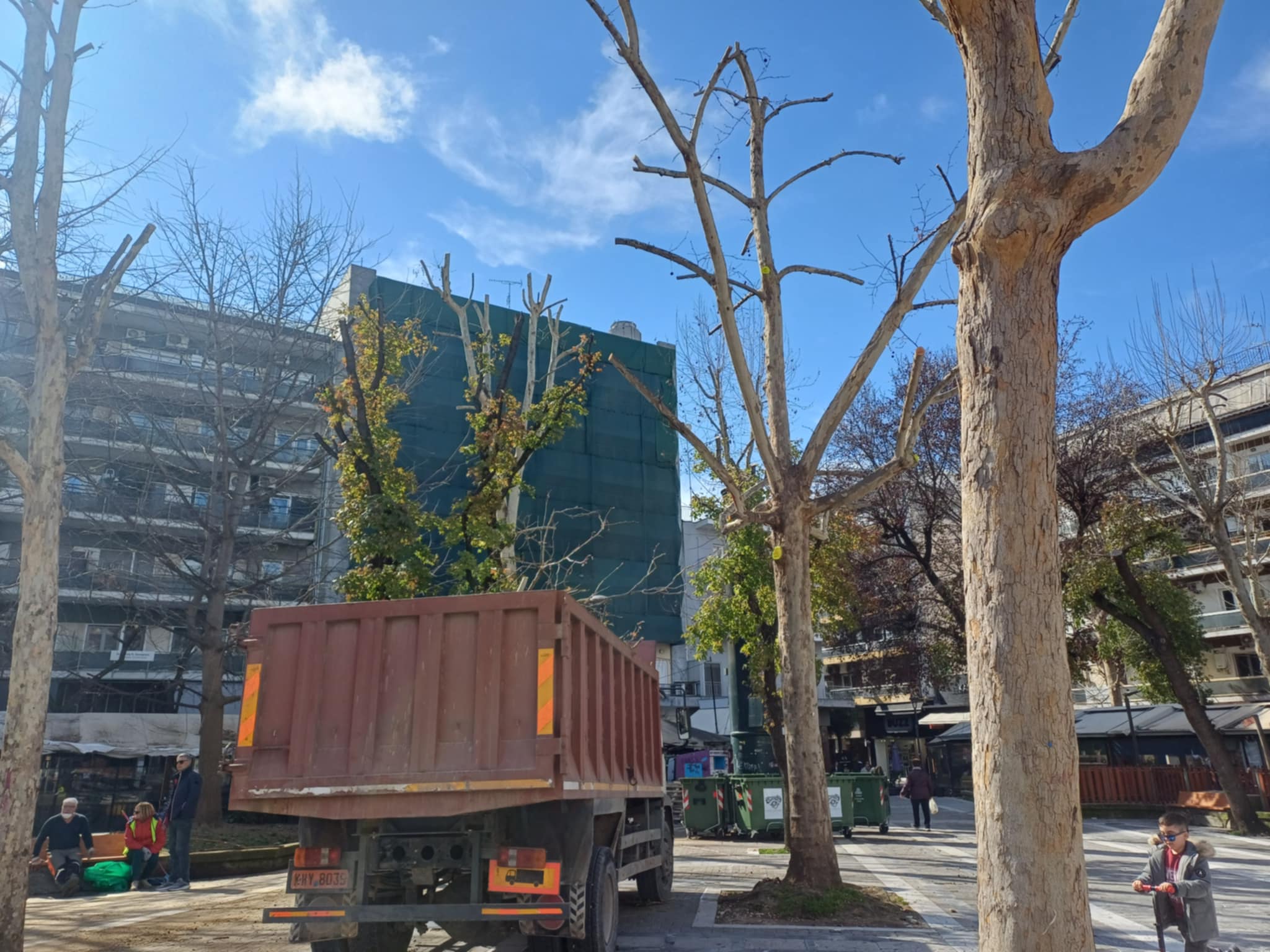 Πιο πράσινη η Λάρισα – Ξεκίνησαν κλαδέματα και νέες φυτεύσεις στο κέντρο της πόλης (ΦΩΤΟ)