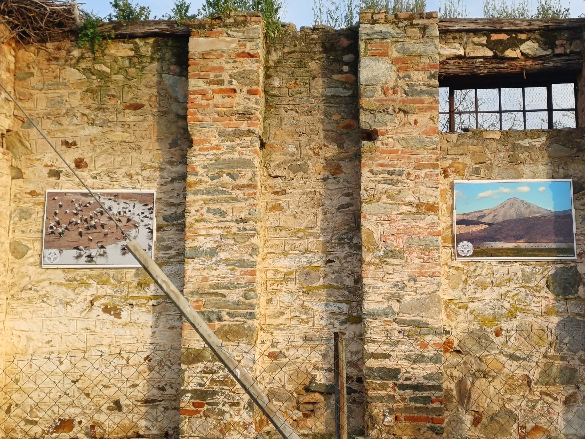 Καλλιτεχνικό αφιέρωμα στους πελαργούς από τις Daughters of Penelope «Αγλαονίκη» (ΦΩΤΟ)