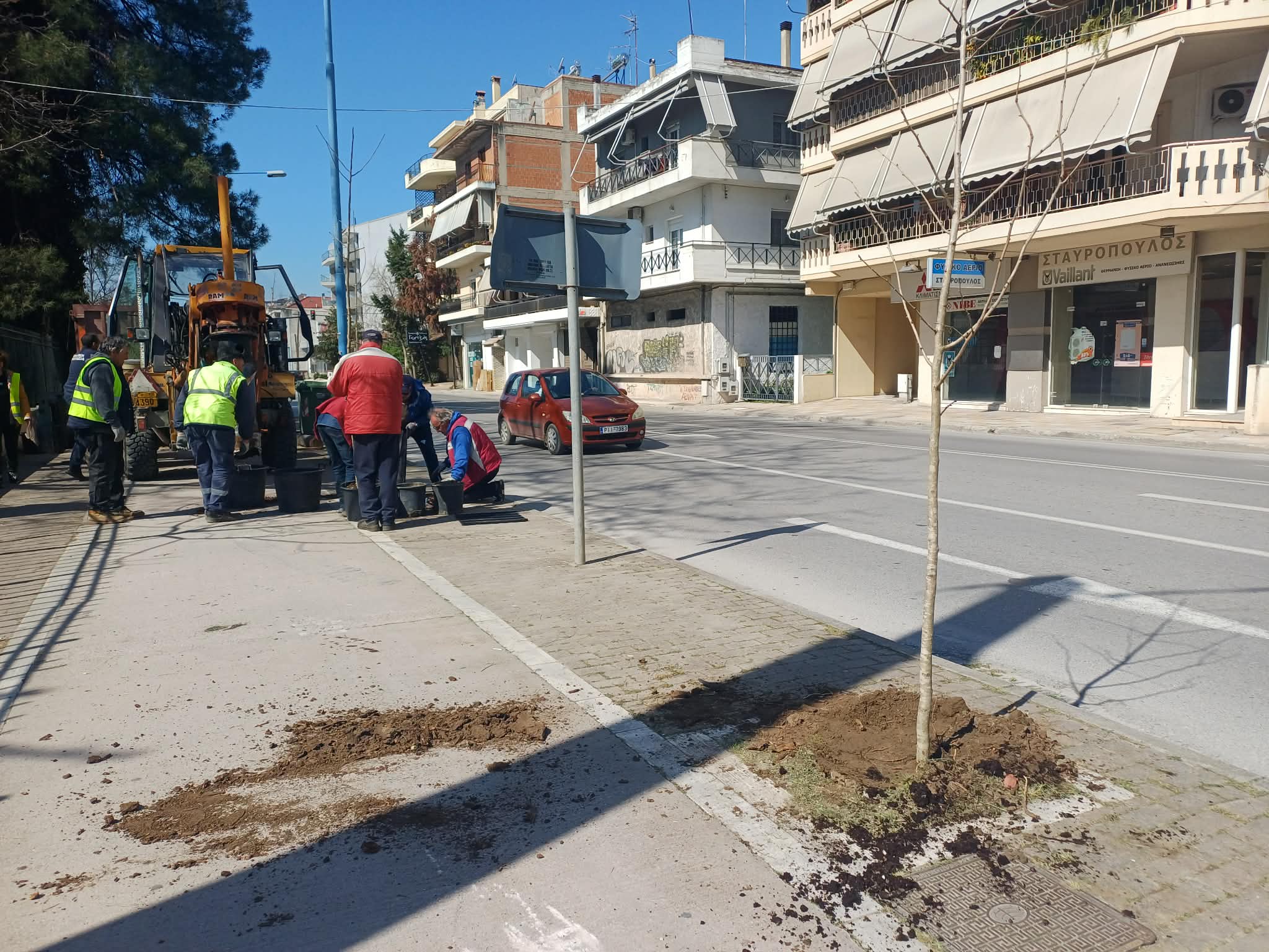 Δενδροφυτεύσεις στην οδό Ιωαννίνων - Πάνω από 1300 δέντρα μέχρι το τέλος της χρονιάς (ΦΩΤΟ-ΒΙΝΤΕΟ)