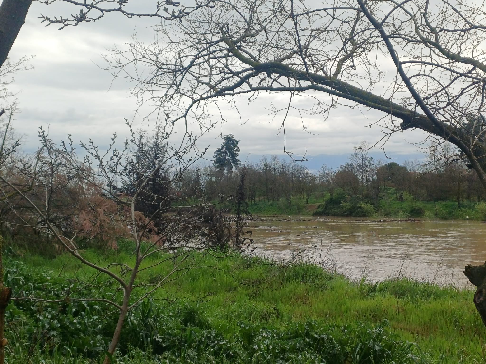 Συναγερμός για τη στάθμη του Πηνειού, έφτασε στα 4,5 μέτρα- απομάκρυνση φερτών στη γέφυρα της Γιάννουλης(ΦΩΤΟ)
