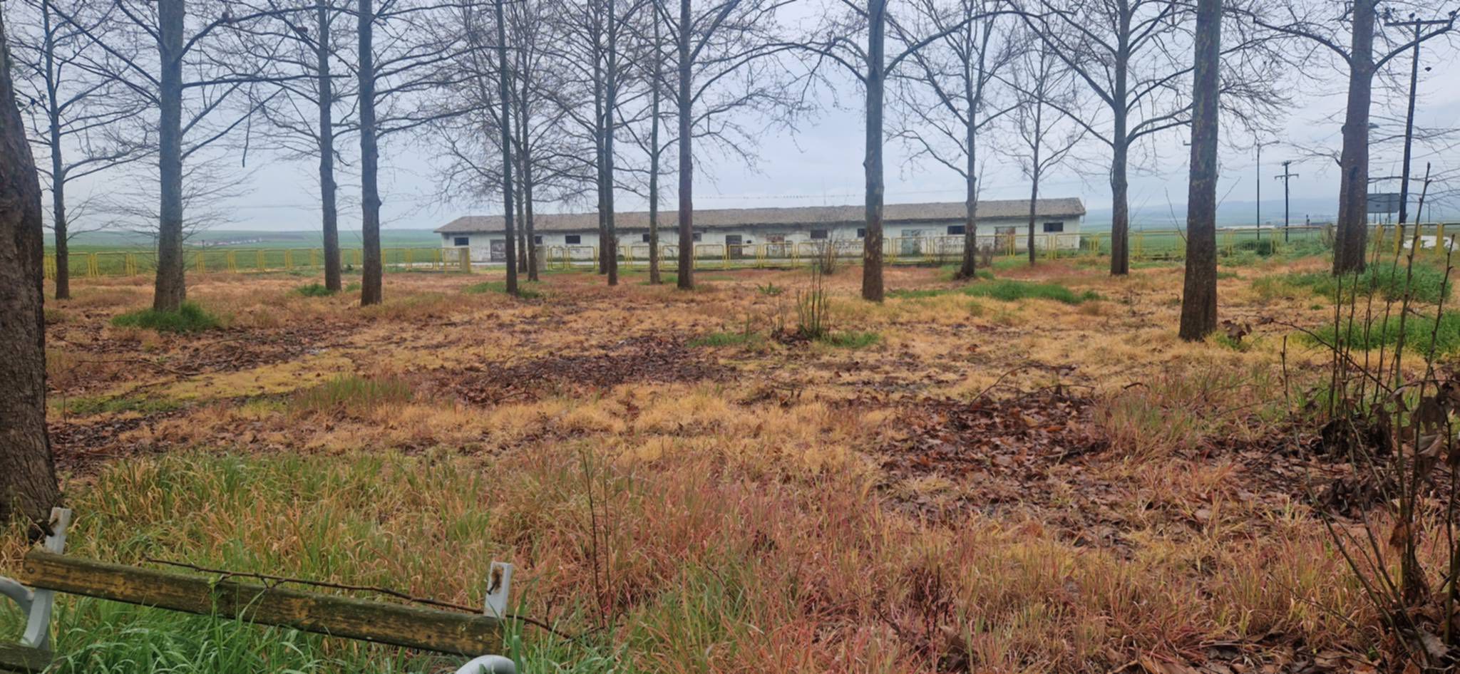 Ψεκασμός στο Δήμο Κιλελέρ για αγριόχορτα δίπλα σε σχολεία- η ανάρτηση Νίκου Ράπτη (ΦΩΤΟ)