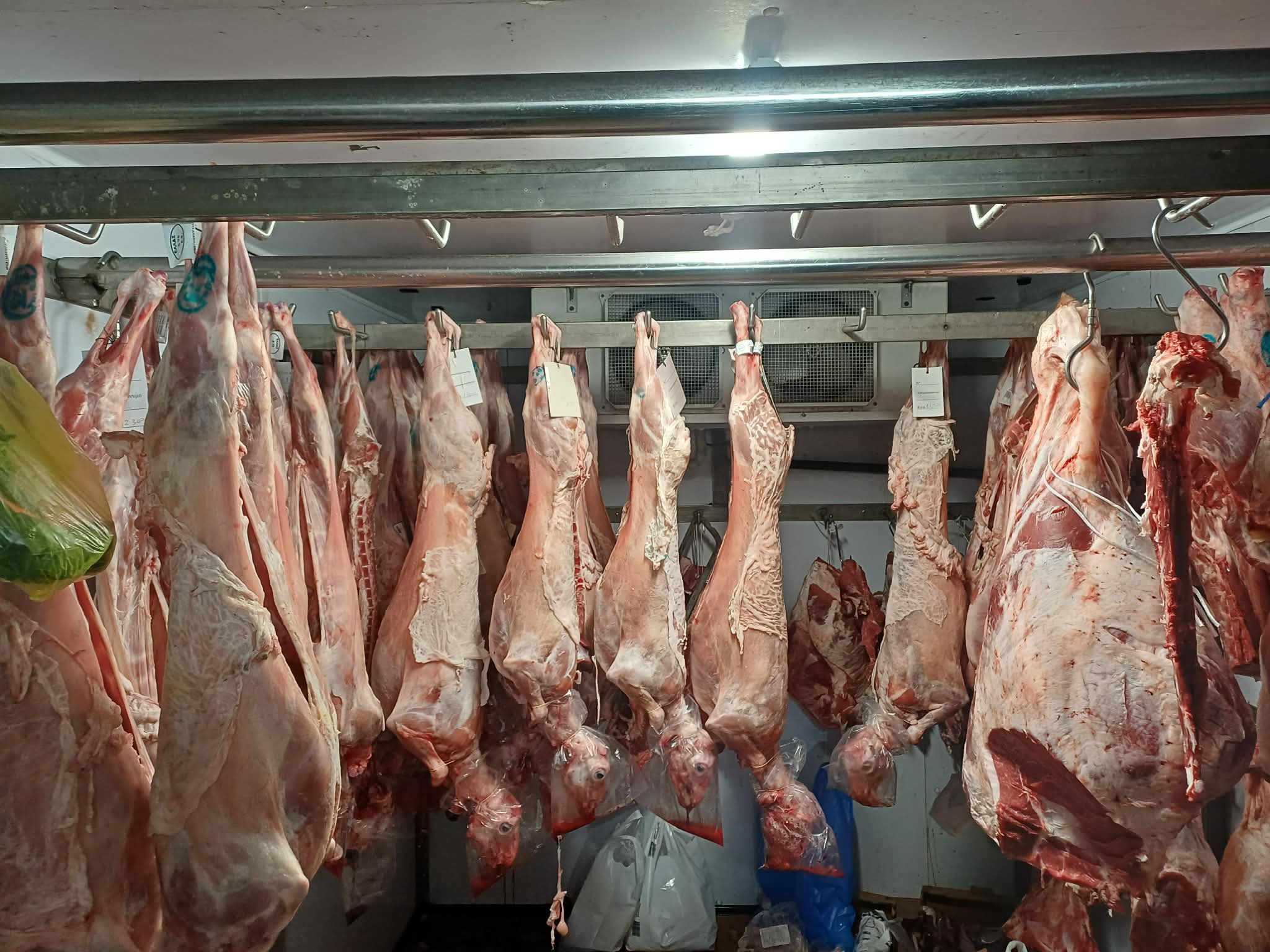 Πετάει το αρνάκι στα κρεοπωλεία της Λάρισας από 17 έως 19 ευρώ το κιλό- μισό ευρώ ακριβότερο το κατσίκι (ΦΩΤΟ)