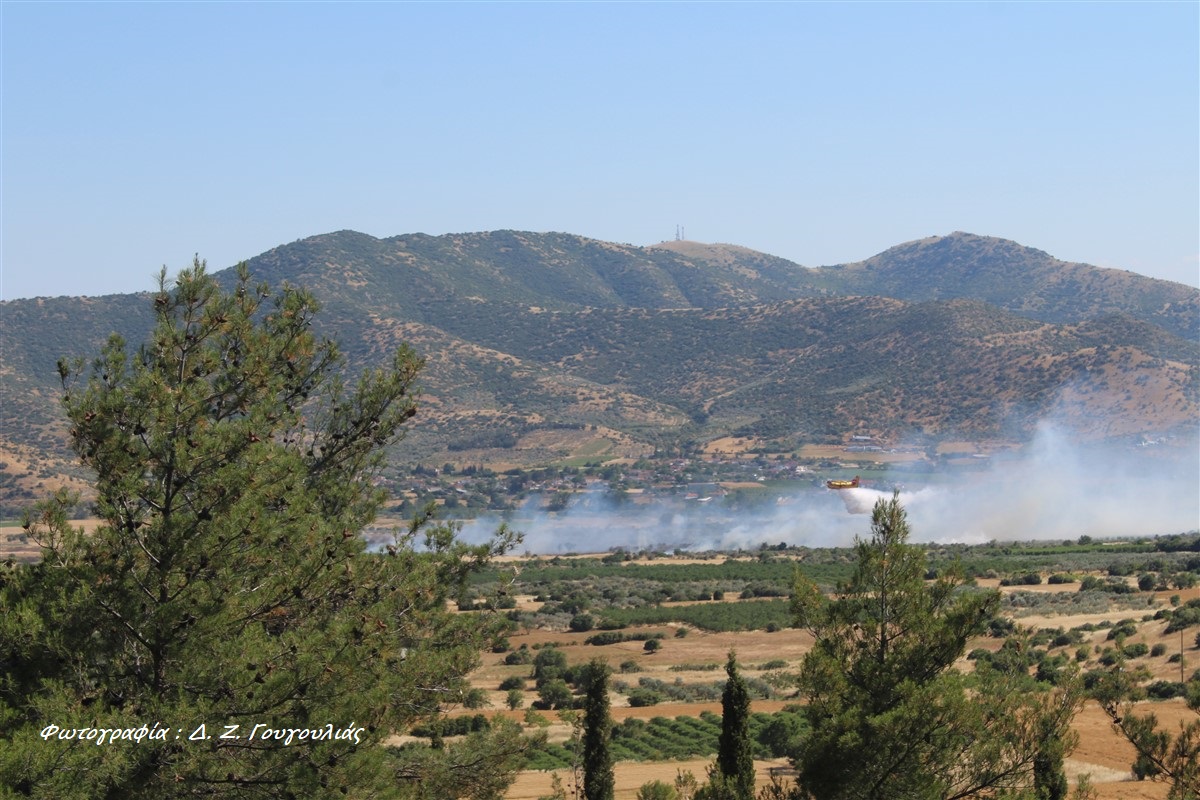 Μεγάλη φωτιά στην περιοχή των Γόννων-Μεγάλη επιχείρηση της Πυροσβεστικής, συνδράμουν δύο αεροσκάφη (ΦωTO)