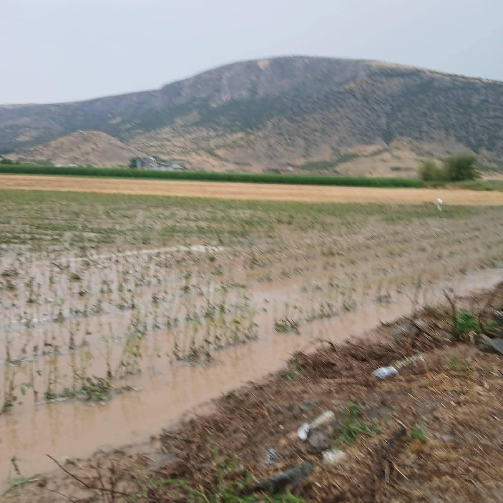 Ισχυρή χαλαζόπτωση και θυελλώδεις άνεμοι έπληξαν τον Δήμο Φαρκαδόνας-μεγάλες ζημιές σε καλλιέργειες (video)