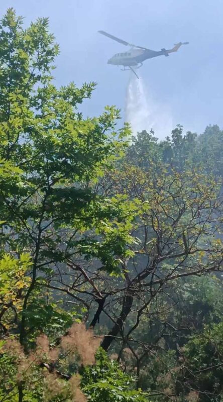 Υπό έλεγχο η φωτιά στα Κανάλια Μουζακίου στην Καρδίτσα