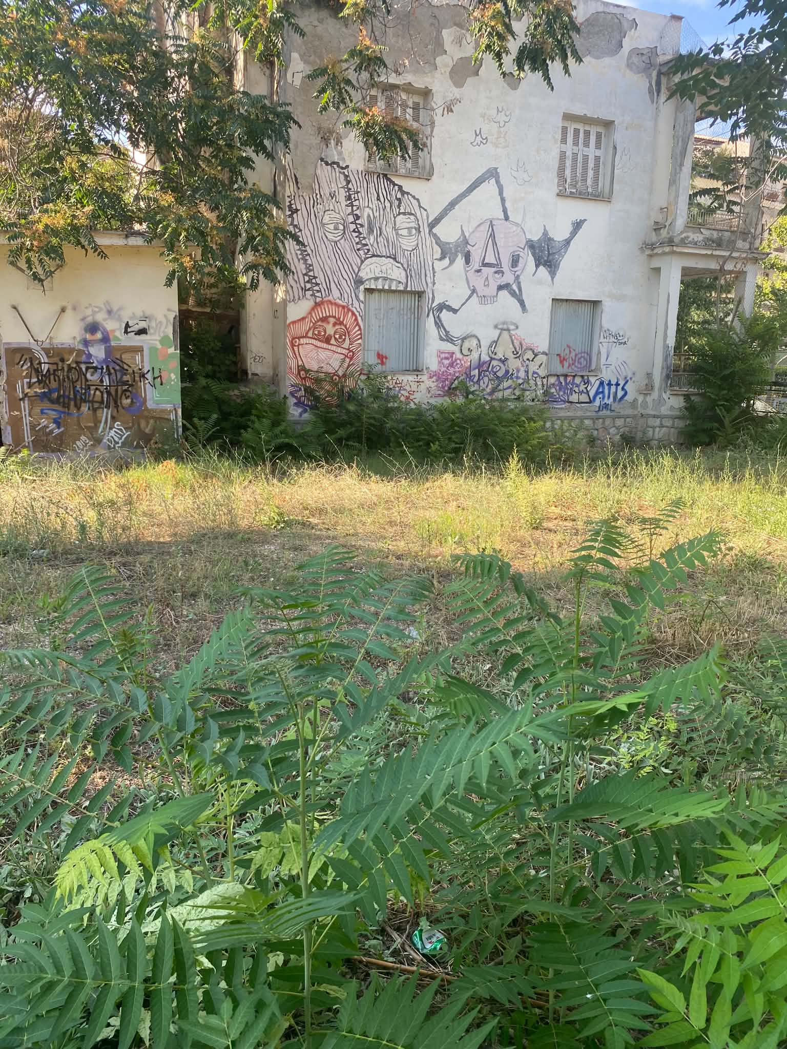 Βραδυφλεγής βόμβα για πυρκαγιά ακαθάριστη δημοτική έκταση στο κέντρο της Λάρισας (ΦΩΤΟ)